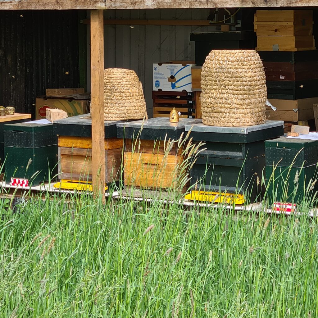 BeeWelcome afbeelding